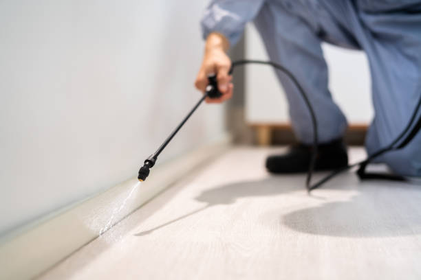 Bed Bug Pre-Treatment Preparation Assessment in Live Oak