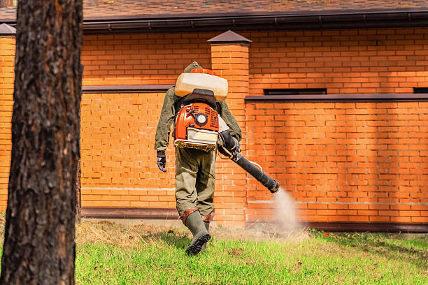 Bed Bug Clearance Verification and Documentation in Live Oak